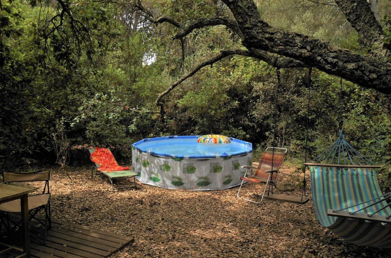 La Cabana Del Alcornoque Cordova Esterno foto