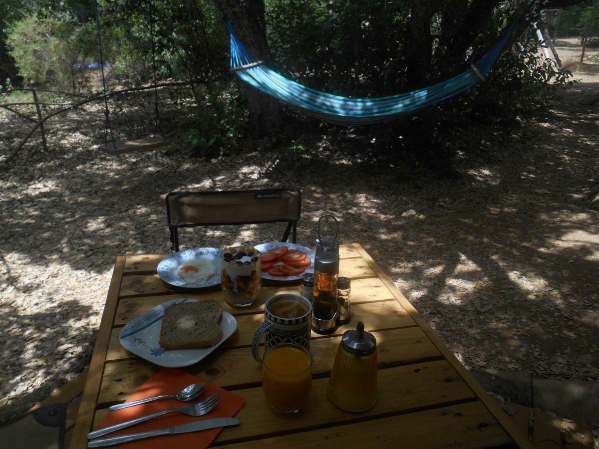 La Cabana Del Alcornoque Cordova Esterno foto