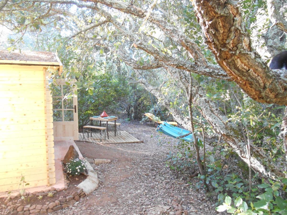 La Cabana Del Alcornoque Cordova Esterno foto